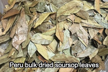 WHOLESALE: Bulk Organically Grown Soursop Leaves