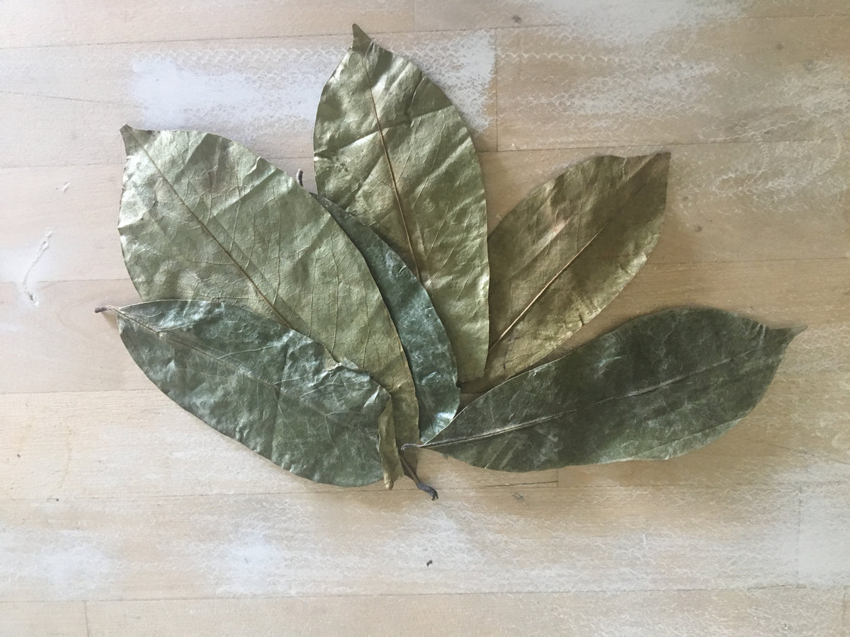 Organic soursop leaves for tea