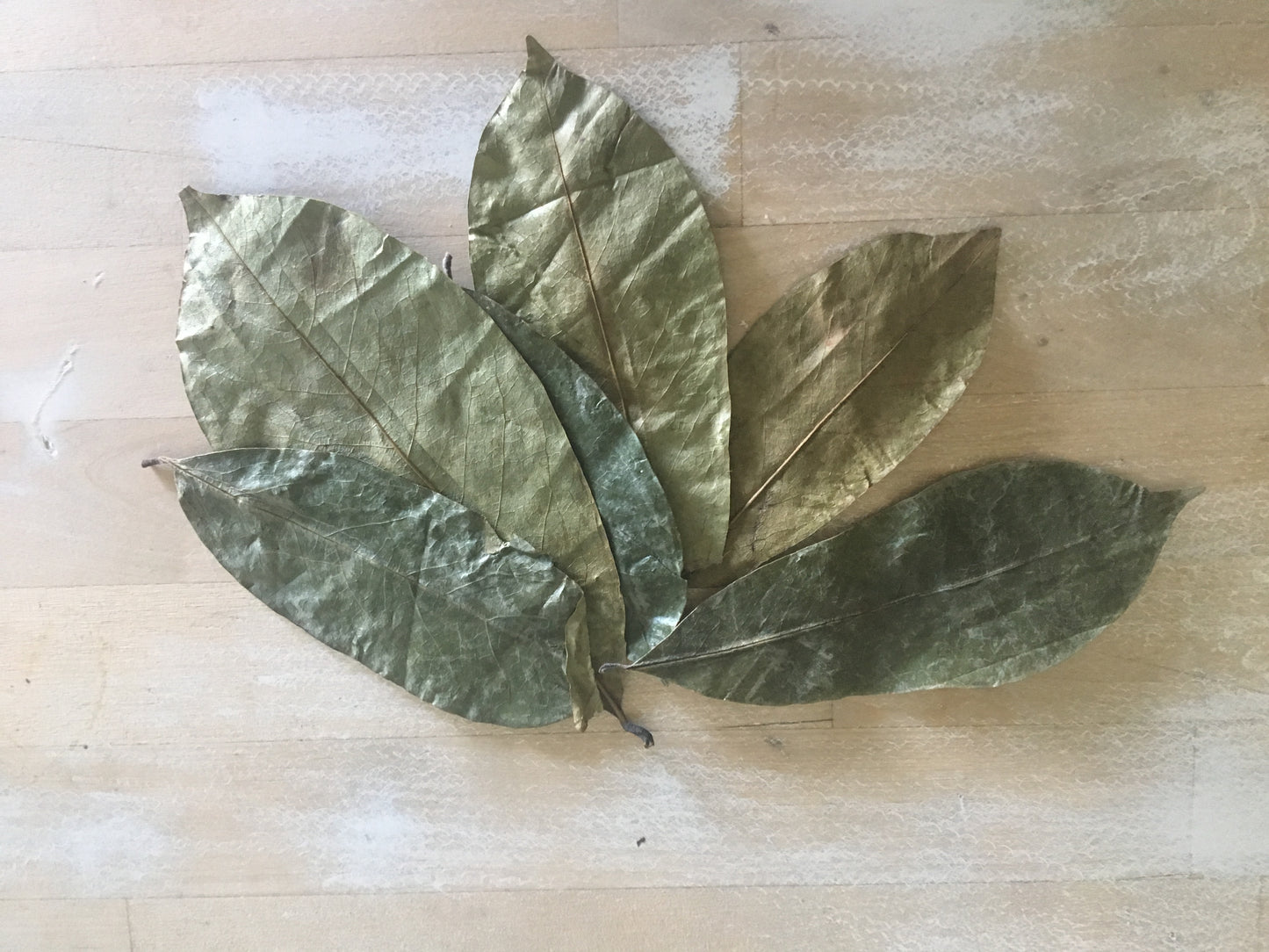 Organic soursop leaves for tea + FREE Tea Steeper - SoursopStore.com
